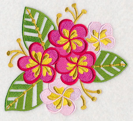 Some Like It Hot - Frangipani - Image 3