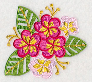 Some Like It Hot - Frangipani - Image 5