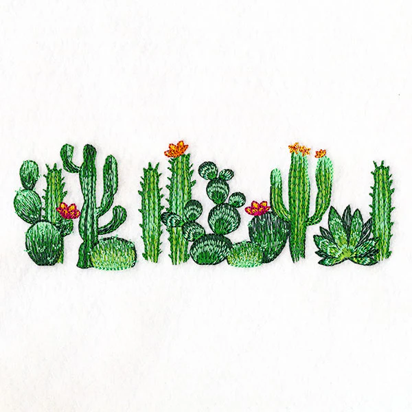 Southwest Cactus Border - Image 5