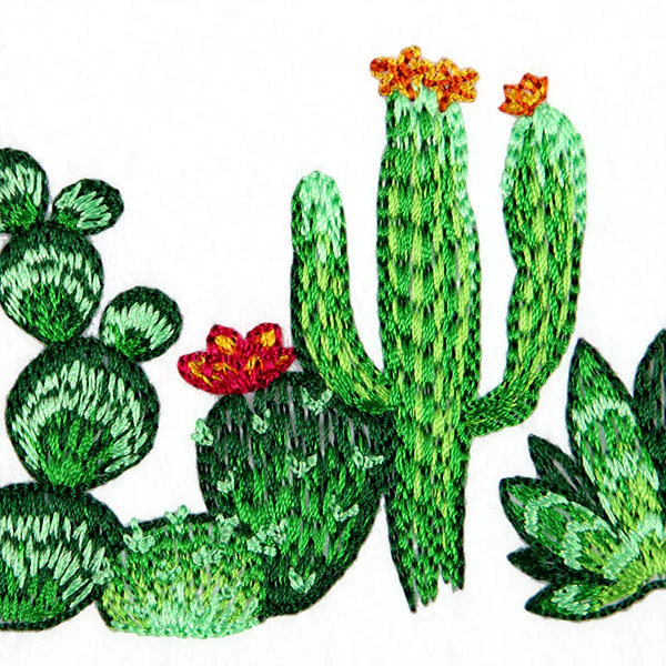 Southwest Cactus Border - Image 6