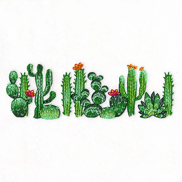 Southwest Cactus Border - Image 7