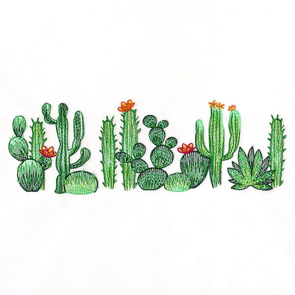 Southwest Cactus Border - Image 9