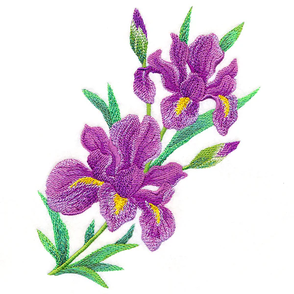 Splendid Iris Bouquet - Image 4
