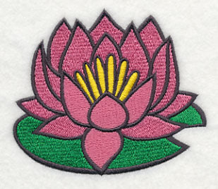 Splish Splash Lotus
