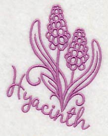 Spring Garden Hyacinth - Image 3