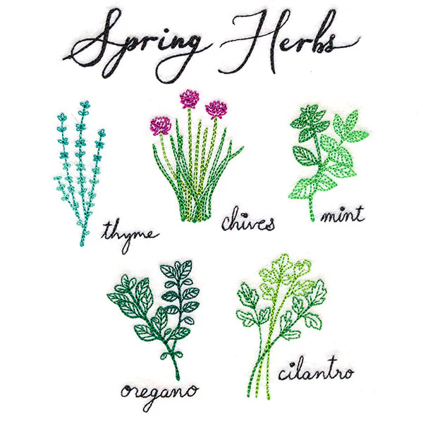 Spring Herbs - Image 3