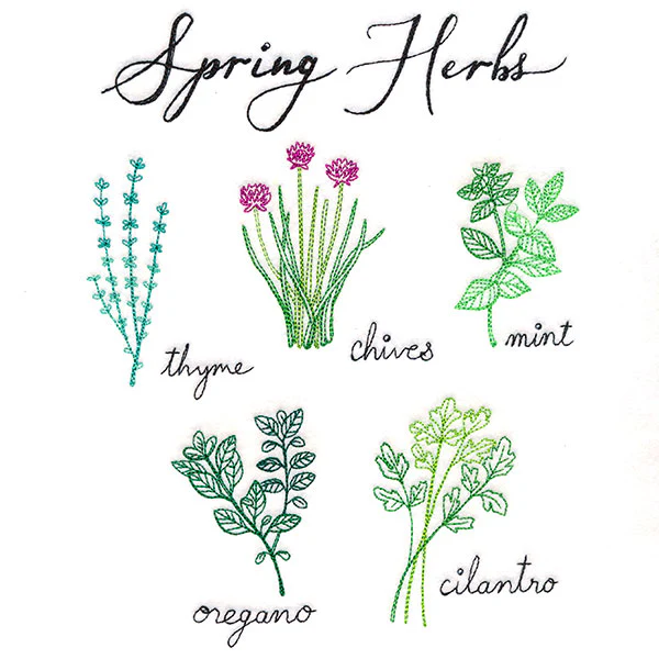Spring Herbs - Image 4