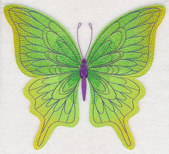 Spring Spectacular Butterfly 2