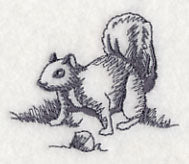 Squirrel Scurry 5 - Image 2