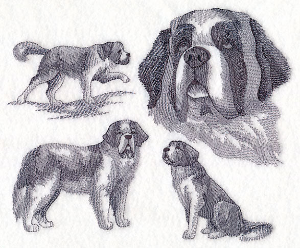 St. Bernard Sketch - Image 4