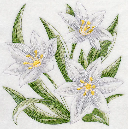 Star of Bethlehem Sketch - Image 2