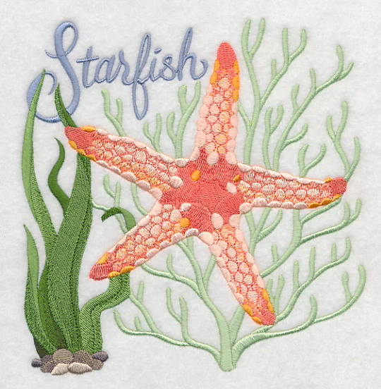 Starfish on the Shore - Image 2