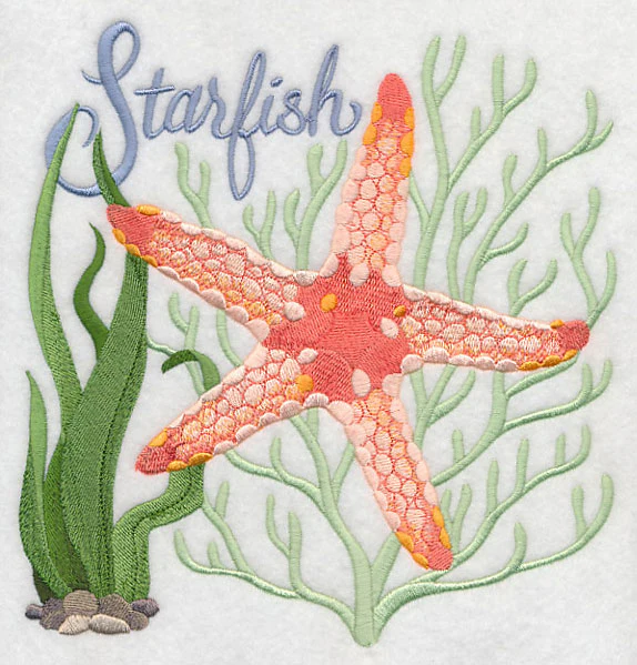 Starfish on the Shore - Image 5