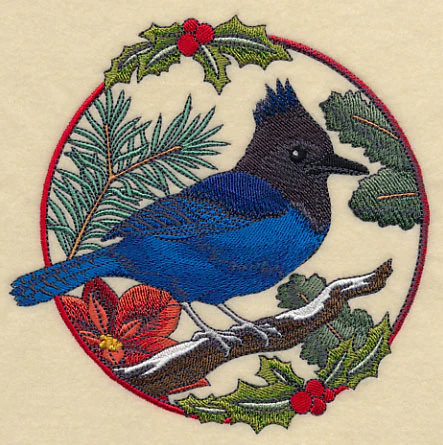 Steller's Jay in Christmas Blooms - Image 3