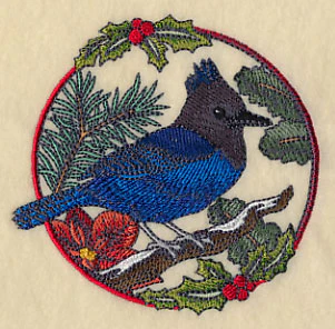 Steller's Jay in Christmas Blooms - Image 5