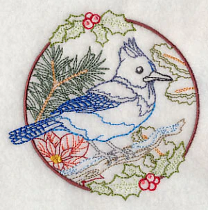 Steller's Jay in Christmas Blooms (Vintage) - Image 5