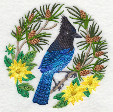 Steller's Jay Scene - Image 5