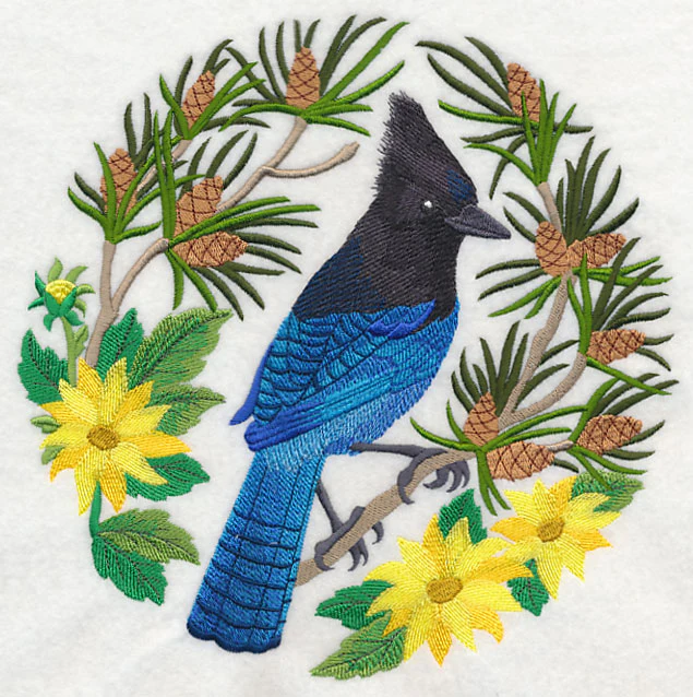 Steller's Jay Scene - Image 6