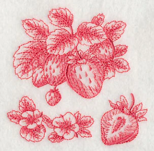 Strawberry Botanical (Toile) - Image 5