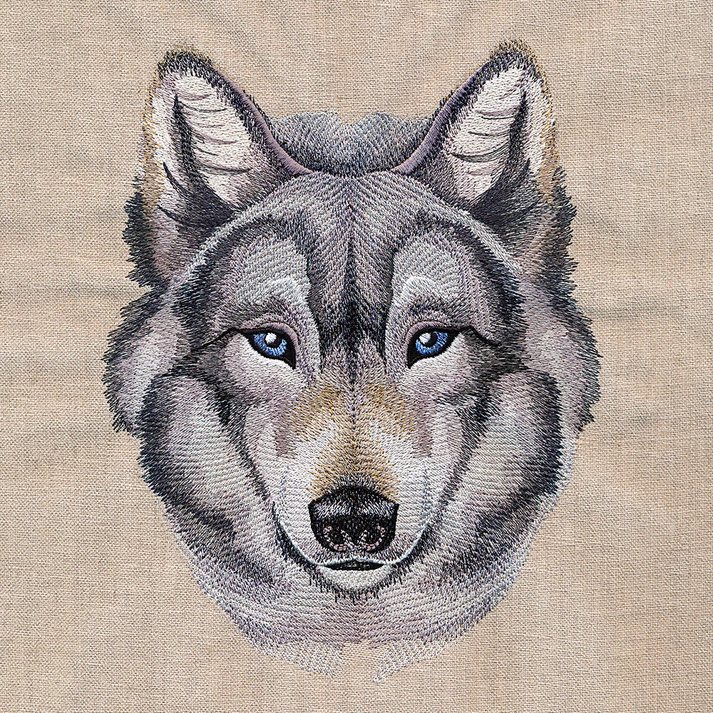 Striking Wild Wolf