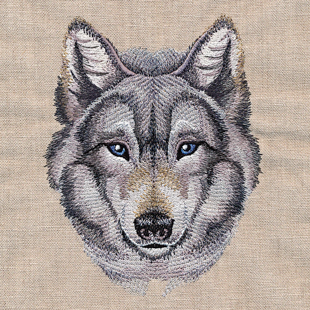 Striking Wild Wolf - Image 4