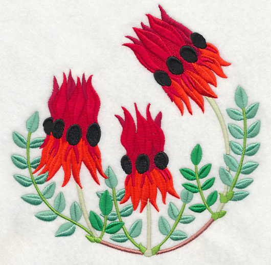 Sturt's Desert Pea - Image 2