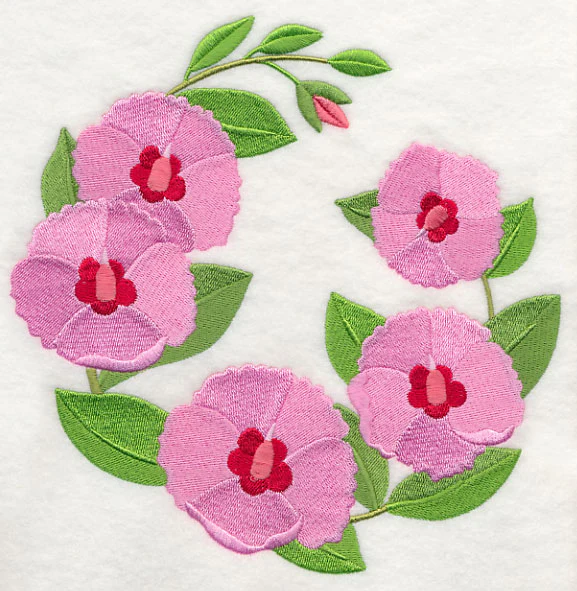 Sturt's Desert Rose - Image 6