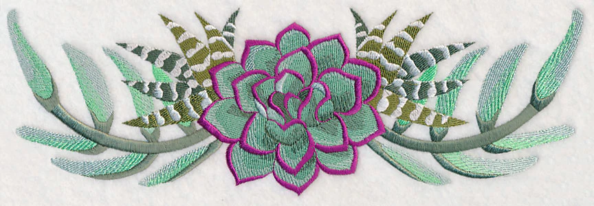 Stylish Succulents Border - Image 5