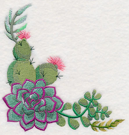 Stylish Succulents Corner - Image 4