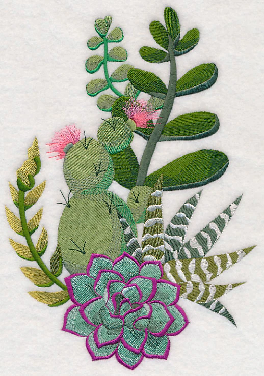 Stylish Succulents Spray - Image 5