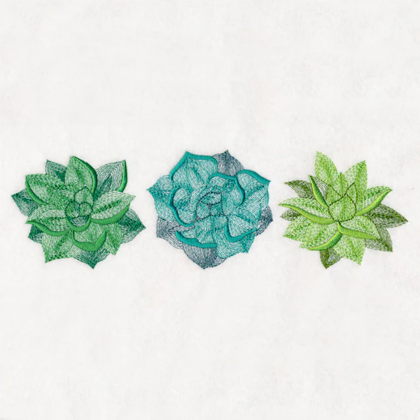 Succulents Trio - Image 2