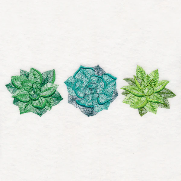 Succulents Trio - Image 3