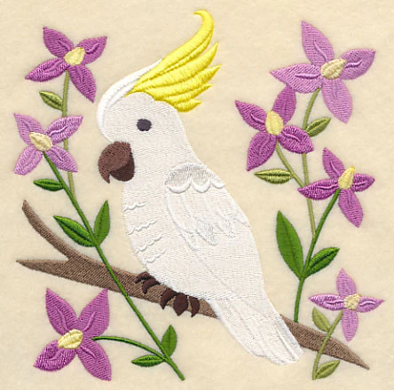 Sulphur-crested Cockatoo and Aniseed Boronia - Image 3