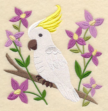 Sulphur-crested Cockatoo and Aniseed Boronia - Image 4