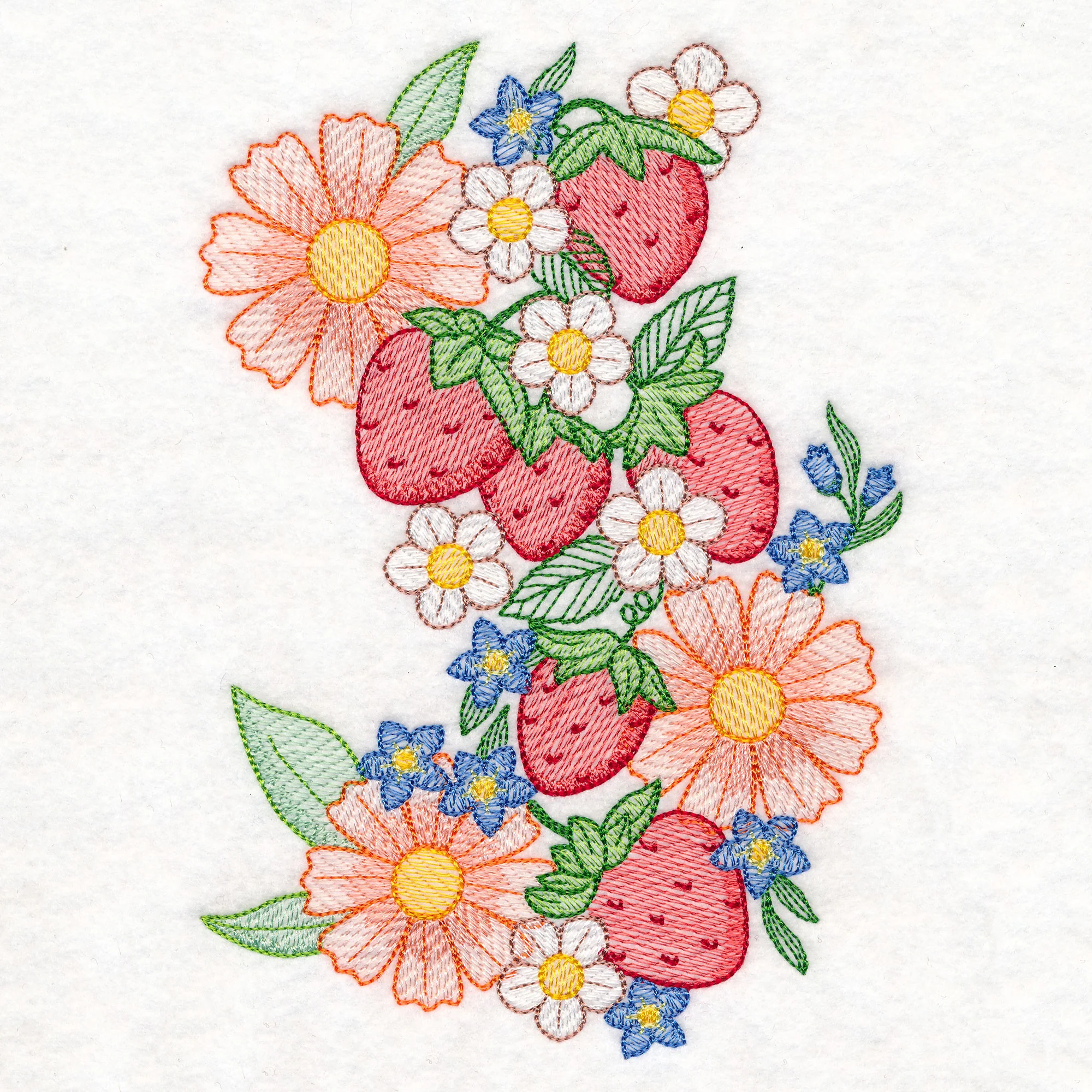 Summer Fruit Garden - Strawberries - Image 3