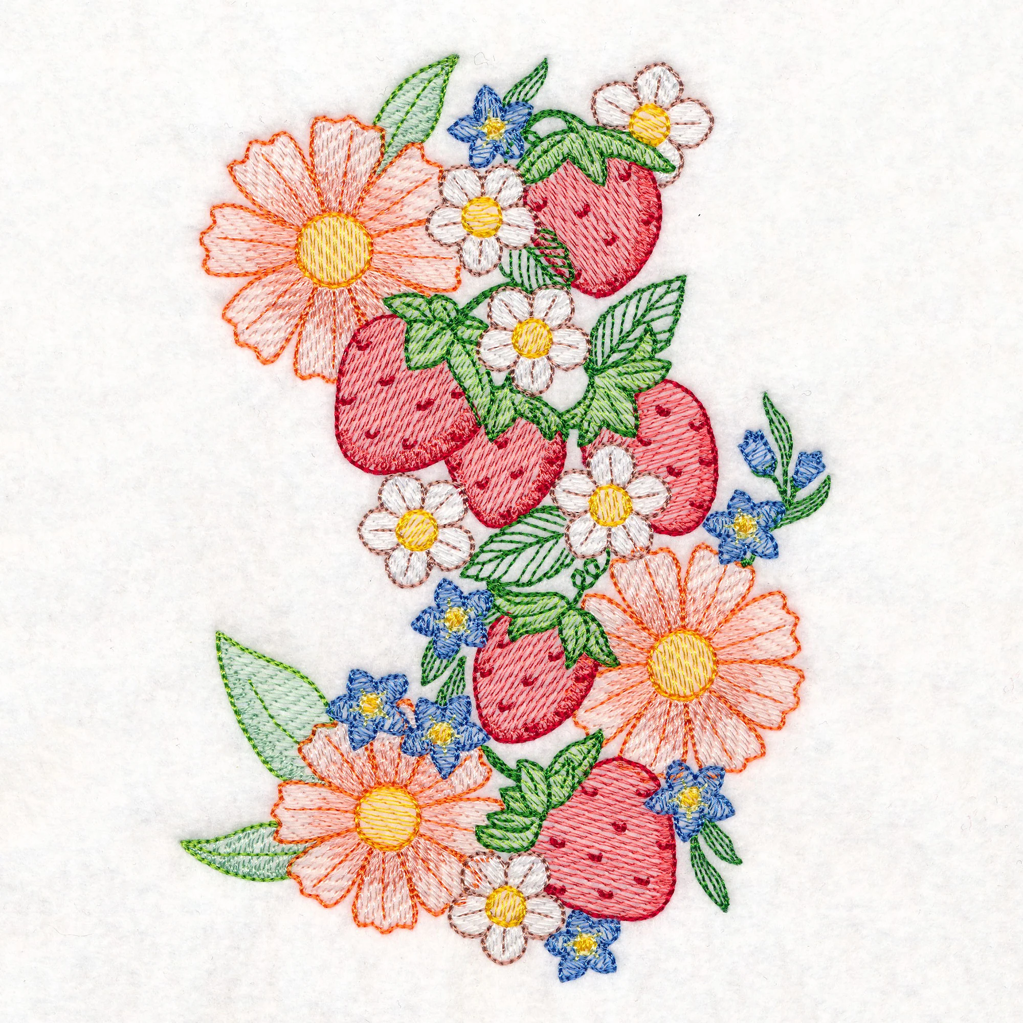 Summer Fruit Garden - Strawberries - Image 5