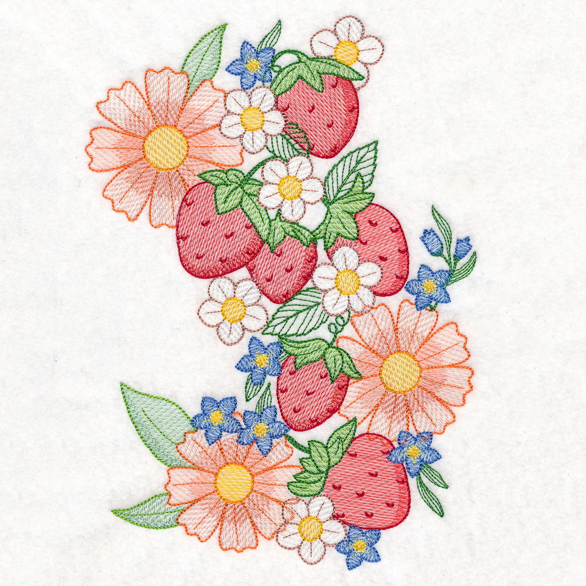 Summer Fruit Garden - Strawberries - Image 7