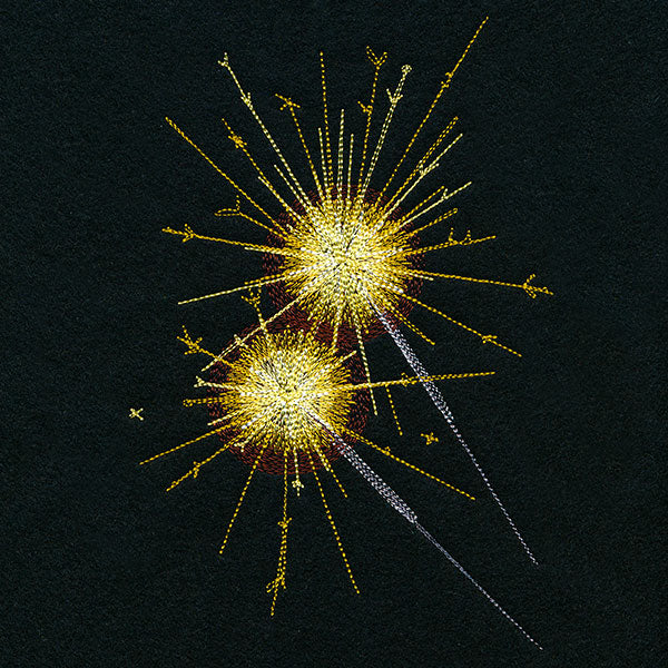 Summer Sparkler Fireworks Feature - Image 2