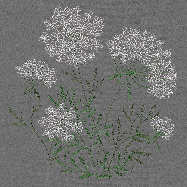 Summer Wonders - Queen Anne's Lace - Image 3