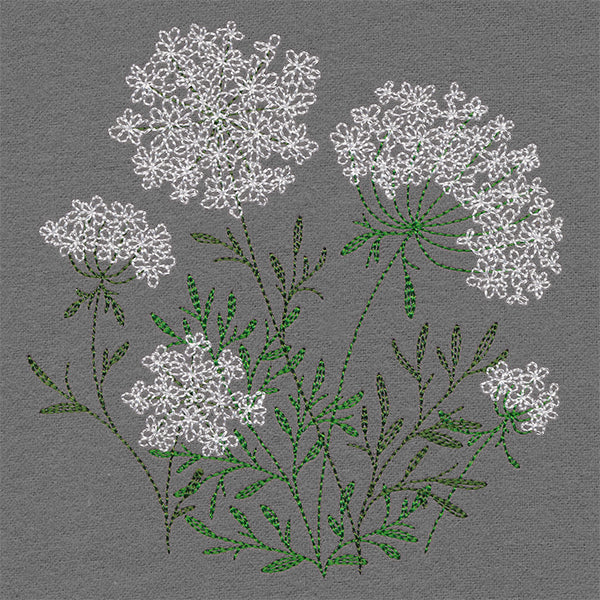 Summer Wonders - Queen Anne's Lace - Image 7