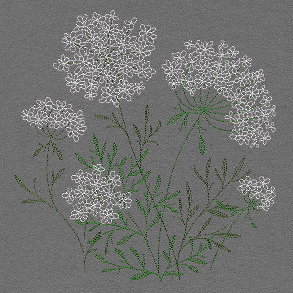 Summer Wonders - Queen Anne's Lace - Image 9