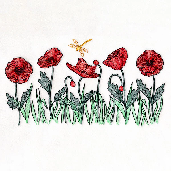 Sunshine and Poppies Border