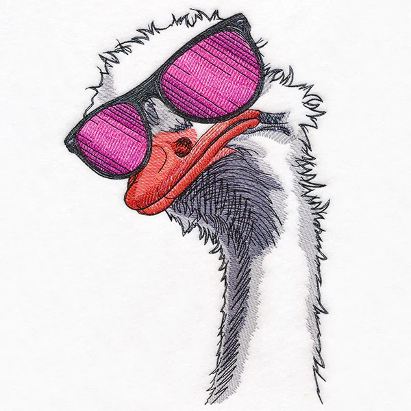 Sunshine and Sunglasses Ostrich - Image 7