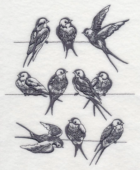Swallows on a Wire - Image 3
