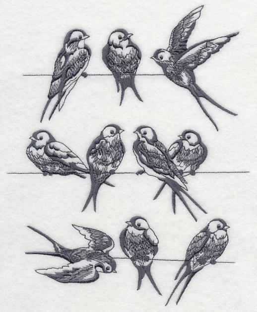 Swallows on a Wire - Image 5