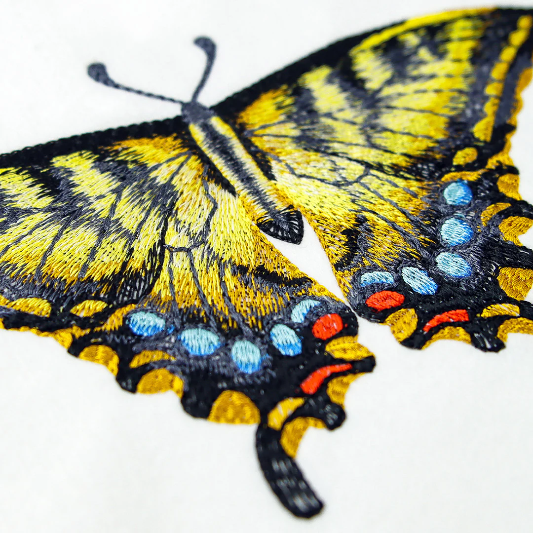 Swallowtail Specimen - Image 10
