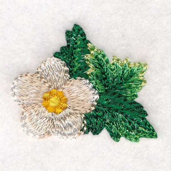 Sweet as Can Be - Flower - Image 3