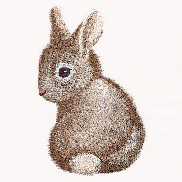 Sweet Baby Bunny - Image 4