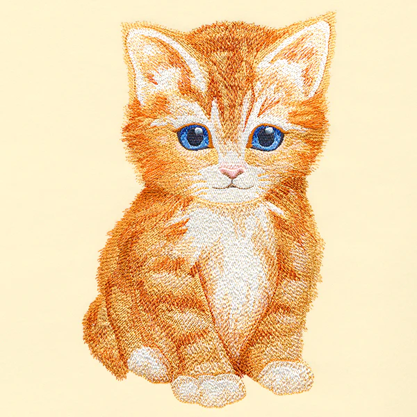 Sweet Baby Kitten - Image 4