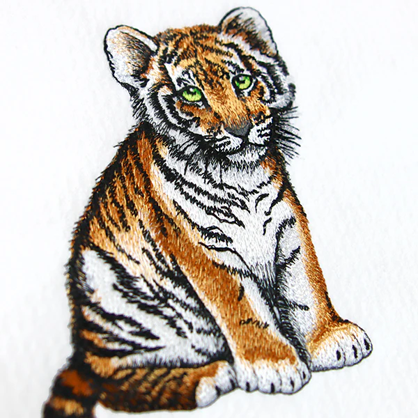 Sweet Baby Tiger - Image 4